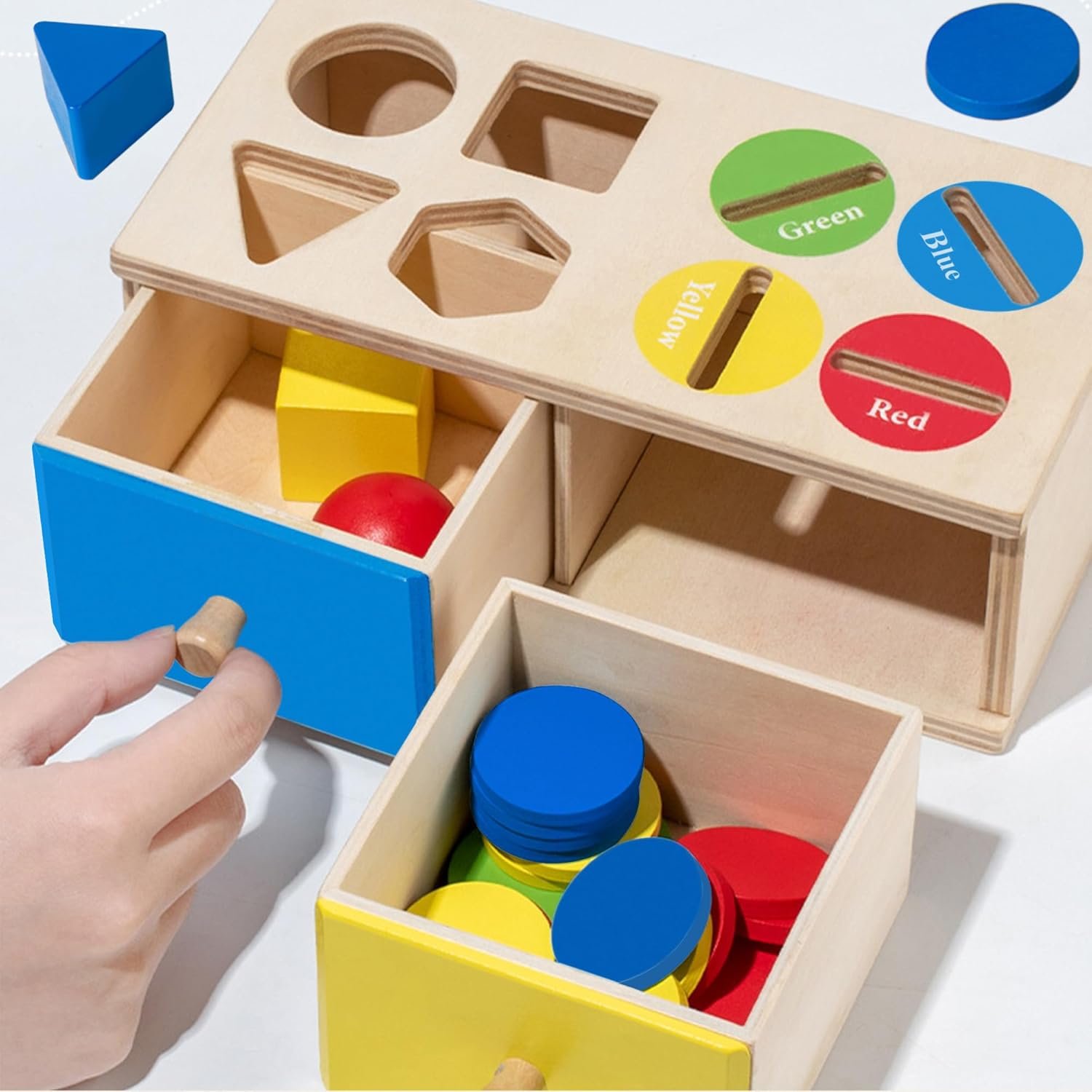 Biottro Montessori Toys for 3 4 5 Year Old - Shape Sorter Matching Color Sorting Recognization Sensory Toys for Toddlers Boy Girl Education Preschool Fine Motor Skills Box Gift